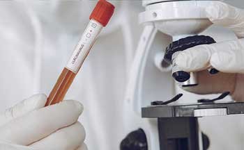virus-3.jpg