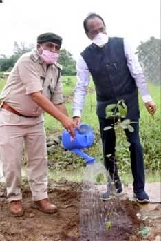har-plant.jpg