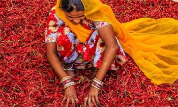 woman-1-1.jpg