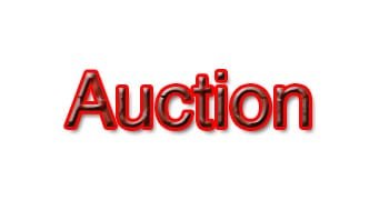 Auction.jpg