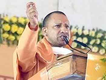 Yogi-1.jpg