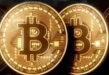 Crypto Bulls Return as Bitcoin Crosses $104,500; Altcoins SOL, ADA Lead Global Gains
