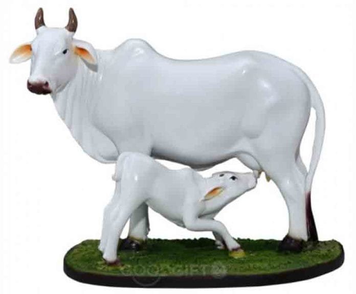 Vastu Shastra Kamdhenu should be placed in the direction of the cow
