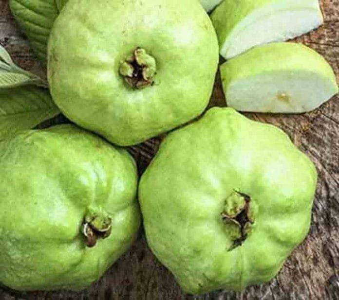 Guava is rich in nutrients like vitamin C, vitamin A, vitamin K