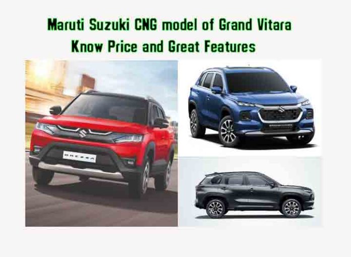 Maruti Suzuki CNG model of Grand Vitara Know Price and Great Features