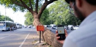 “Now you can remove deadly trees in Delhi within 24 hours — here’s how”