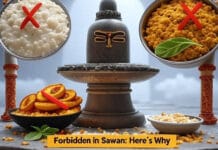 These 4 Foods Are Forbidden During Sawan—You’ll Be Shocked by the Scientific Reasons You’ve heard not to eat curd in Sawan, but what’s the real reason? Get the full story behind these dietary do’s and don’ts straight from scriptures and science.
