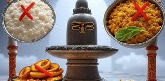 You’ve heard not to eat curd in Sawan, but what’s the real reason? Get the full story behind these dietary do’s and don’ts straight from scriptures and science.