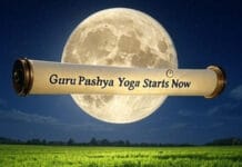 When is Hariyali Amavasya? 3 Auspicious Yogas to Mark This Powerful Sawan Festival Hariyali Amavasya 2025: Date, Time, 3 Auspicious Yogas & Powerful Rituals You Must Know!