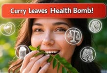 Chew Curry Leaves on an Empty Stomach Daily: Discover the Surprising Health Benefits Chew Curry Leaves Daily and Watch 8 Health Problems Vanish Naturally!