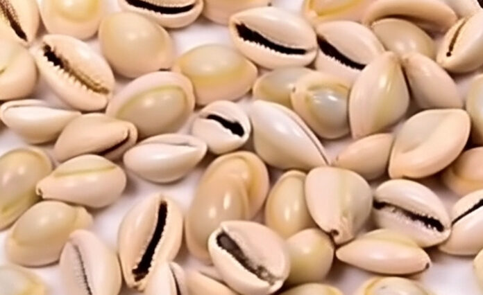 navratri-cowrie-remedies-fo