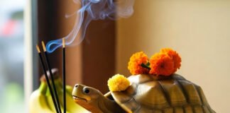 elebrate Labh Panchami (Oct 26, 2025): 4 auspicious yogas, the morning puja muhurat, and why a tortoise (symbolic or brass) brings Lakshmi’s blessings.