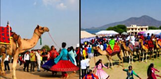 Pushkar Fair 2025 brings colour, tradition and global travellers to Rajasthan’s deserts.