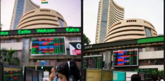 Stock Market