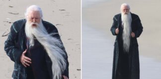 Veteran actor John Lithgow cast as Albus Dumbledore in the upcoming HBO Harry Potter adaptation,