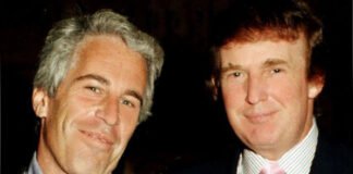 Jeffrey Epstein with young Donald Trump