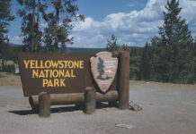 U.S. National Parks Raise International Fees 50% Under “America First” Policy Tourists at Yellowstone National Park with “Entrance Fee” sign indicating raised prices for international visitors.