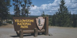 Tourists at Yellowstone National Park with “Entrance Fee” sign indicating raised prices for international visitors.