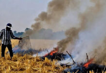 Farm Policies Under Fire: Experts Say Stubble Burning Isn’t the Whole Story as India Faces Air, Water, and Diet Crises Farmers in Punjab burning crop residue as experts debate broader agricultural reforms to address India’s air, water, and food crises.