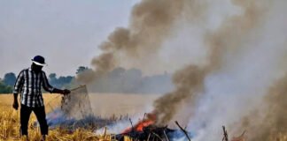 Farmers in Punjab burning crop residue as experts debate broader agricultural reforms to address India’s air, water, and food crises.