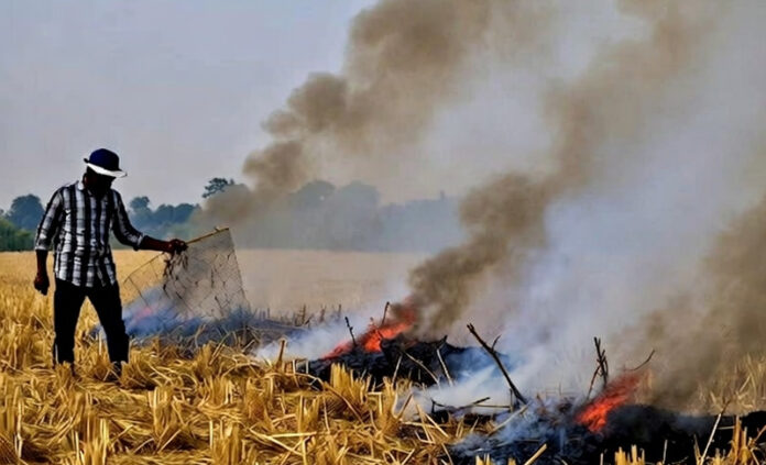 Stubble-Burning Farmers in Punjab burning crop residue as experts debate broader agricultural reforms to address India’s air, water, and food crises.
