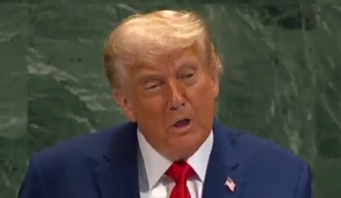 Trump Speaks on Immigration at Florida Rally — November 2025 Donald Trump addresses supporters at a 2025 Florida rally during a heated immigration speech.