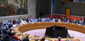 Global Shift: UNSC Endorses Trump’s Gaza Peace Initiative and International Force