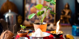 Explore authentic Vedic remedies for Rahu and Ketu, including mantras, pujas, charity, gemstones, and lifestyle practices derived from classical texts to reduce malefic effects and restore spiritual balance