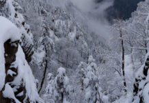 Cold Wave Intensifies Across North and East India After Fresh Snowfall; IMD Issues Alerts for Multiple States Snow-covered Himalayan mountains and foggy plains as India faces a severe cold wave during early December 2025