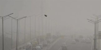 Dense fog blankets Delhi roads amid yellow alert issued by IMD