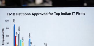 Indian IT professionals face H-1B visa cuts amid U.S. scrutiny