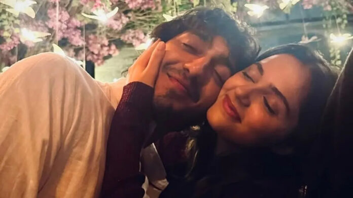 ollywood debut stars of 2025 including Ahaan Panday, Aneet Padda, Sara Arjun, and Rasha Thadani