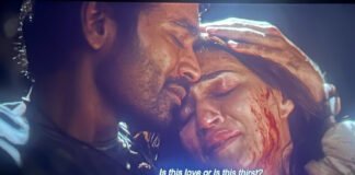 Tere Ishq Mein leads Wednesday box office while other films struggle