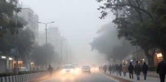 Dense fog and cold wave conditions in Delhi-NCR on a winter morning