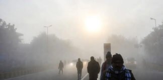 Cold and foggy morning in Delhi NCR as temperatures drop on January 10