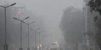 Smog-covered Delhi highway with trucks halted following non-essential entry ban due to severe air pollution.