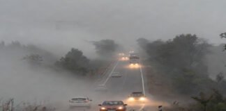 Dense fog and cold wave conditions in North India winter morning