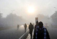 Weather Update Today, January 2, 2026: Cold Wave, Dense Fog Grip North India; Snowfall Likely in Hills Dense fog and cold wave conditions in North India on January 2, 2026