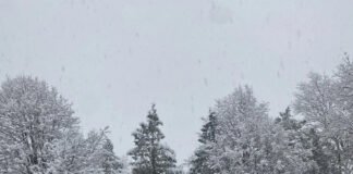 Dense fog in North India and heavy rain in South India on January 10