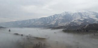 North India cold wave with dense fog, rain and snowfall alert issued by IMD
