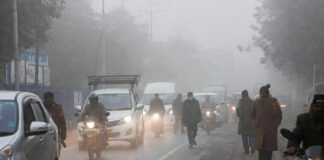 North India Freezes on January 14 — Dense Fog, Cold Wave Grip Multiple States; IMD Issues Alerts