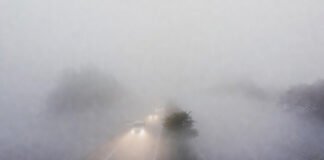 Dense fog and cold wave conditions in North India during January winter