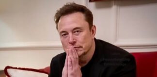 Elon Musk responds to investigations into X and Grok AI amid growing global regulatory pressure