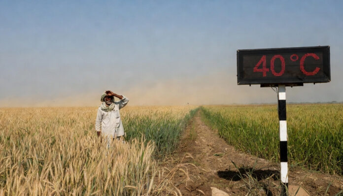 india-march-2026-heatwave-w Heatwave conditions in North India as wheat and mustard crops face rising March temperatures