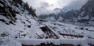 Bhairav Valley avalanche snow blocked trekking route broken trees Uttarakhand