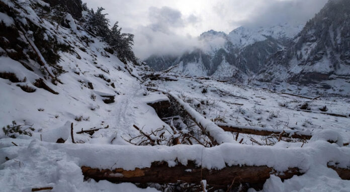 bhairav-valley-avalanche-sn Bhairav Valley avalanche snow blocked trekking route broken trees Uttarakhand