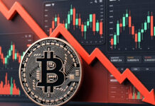 Crypto Market Plunges: Bitcoin Drops 10% as War Fears Shake Global Investors Bitcoin price crash chart showing sharp decline in cryptocurrency market
