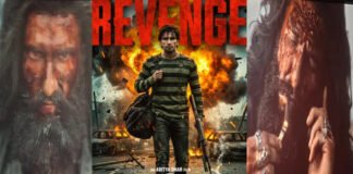 Ranveer Singh Dhurandhar 2 box office ₹300 crore worldwide blockbuster