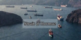 India Rules Out Bilateral Talks With U.S. on Deploying Warships to Strait of Hormuz