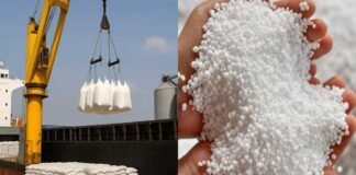 India Urea Crisis Deepens: Govt Secures Record Imports at Double Prices Amid Global Supply Shock